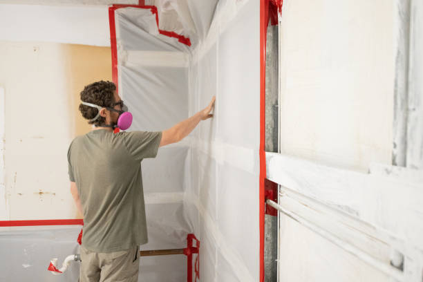 Best Basement Mold Removal  in Kealakekua, HI
