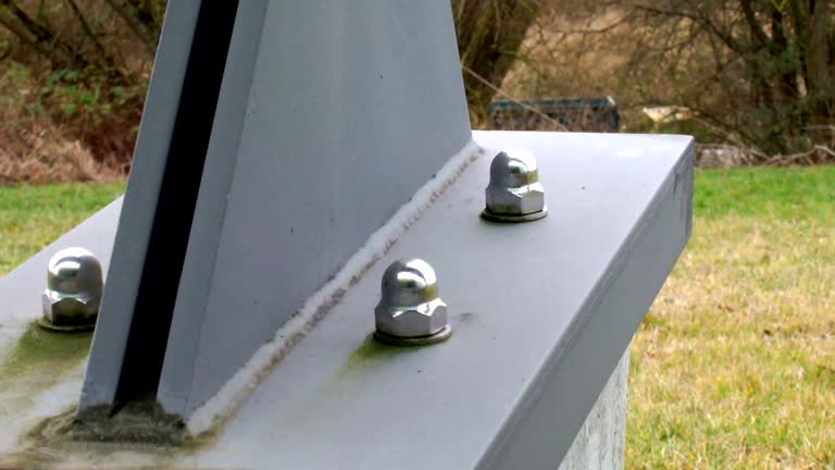 Best Asbestos and Lead Testing During Mold Inspection  in Kealakekua, HI